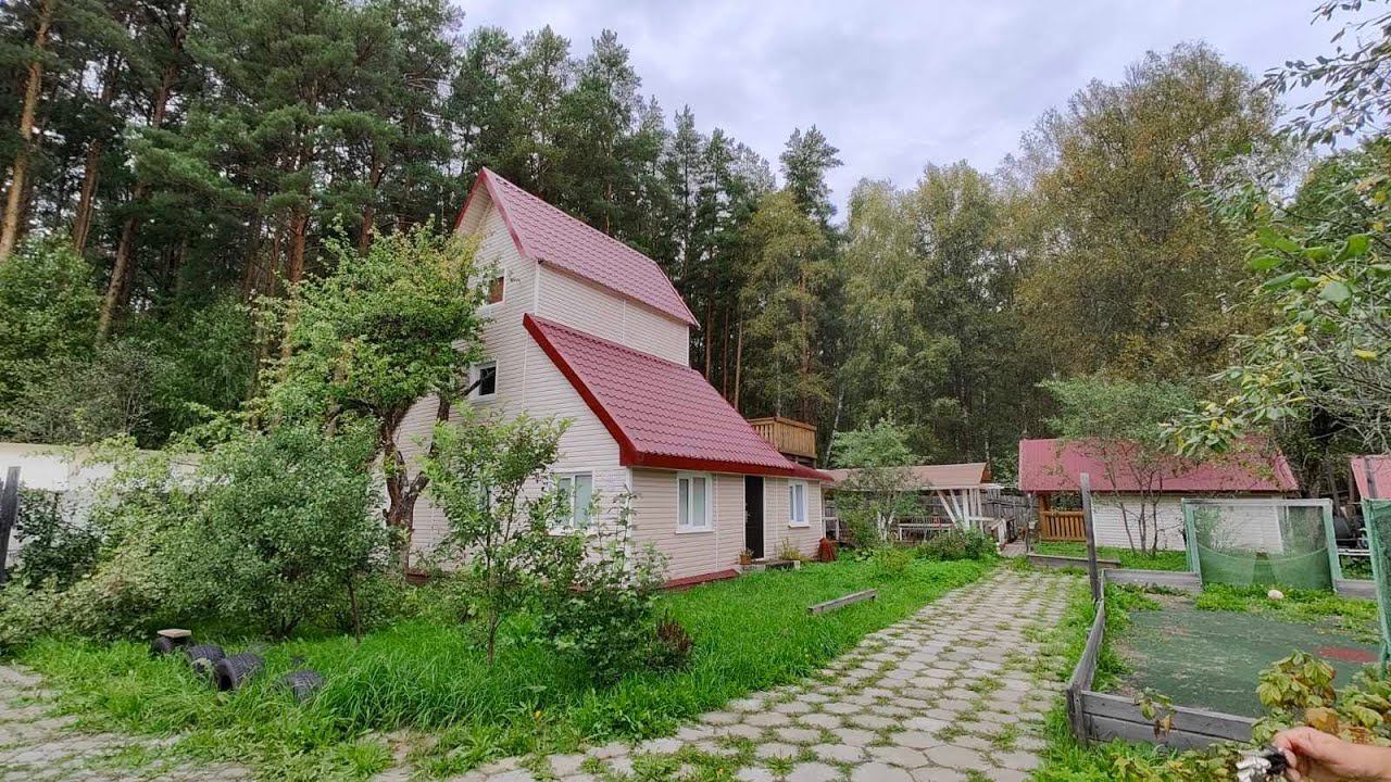 Купили "маленький домик" 24 09 2023 г смотреть онлайн