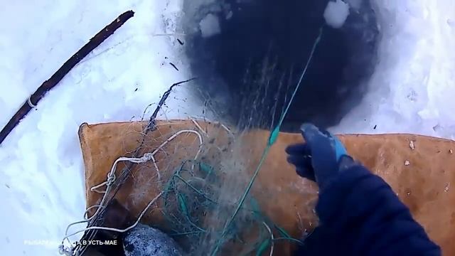 РЫБАЛКА!!! ЯКУТИЯ РЕКА АЛДАН №6 !!! ПРОВЕРКА НОВОГО ПЕРЕМЕТА!!! 2021-2022 смотреть онлайн