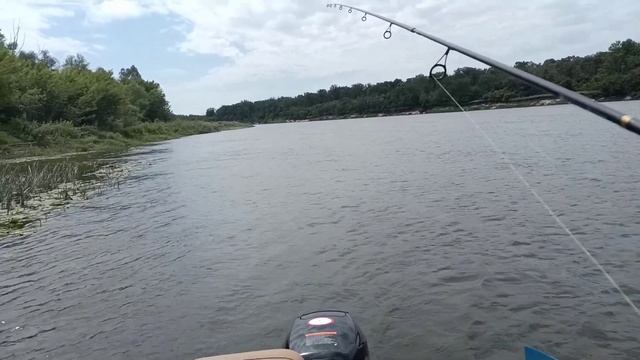 Только спиннинг. Рыбалка на реке Дон. смотреть онлайн
