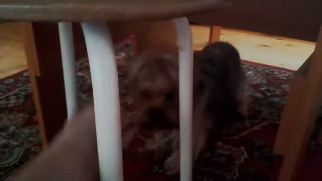 Моя дача,где я живу летом часть 1 смотреть онлайн