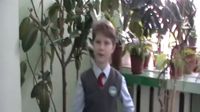 Страна читающая - Матвеюк Платон читает басню Крылова "Свинья под дубом" смотреть онлайн