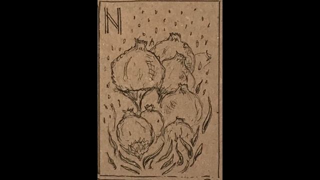 Руны: Хагалаз (V. S.)