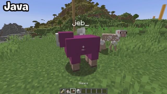 Minecraft BEDROCK vs. Minecraft JAVA (35 Unterschiede) смотреть онлайн