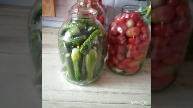 Загатовки на зиму Маринованные памидоры, огурцы. Сливовый джем. 13. 09.2020. смотреть онлайн
