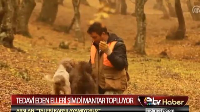 TEDAVİ EDEN ELLERİ ŞİMDİ MANTAR TOPLUYOR смотреть онлайн