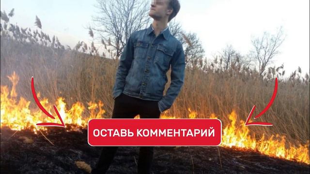 Почему отец так поступил, все подробности настоящего зверя. смотреть онлайн