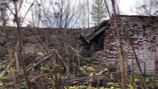 Мое ЛЮБИМОЕ место для велосипеда. Выходные в Псковской области, турбазе Алоль / Новости: смотреть онлайн