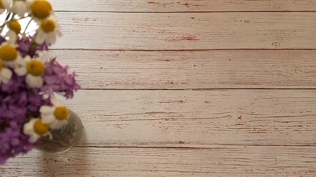 Продвижения за ДВЕ НЕДЕЛИ | Овен, Dimensions, Изабель Вотье | Вышивка крестом смотреть онлайн