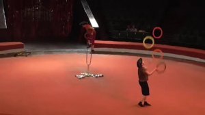 профессиональные  жонглёры цирк professional jugglers circus