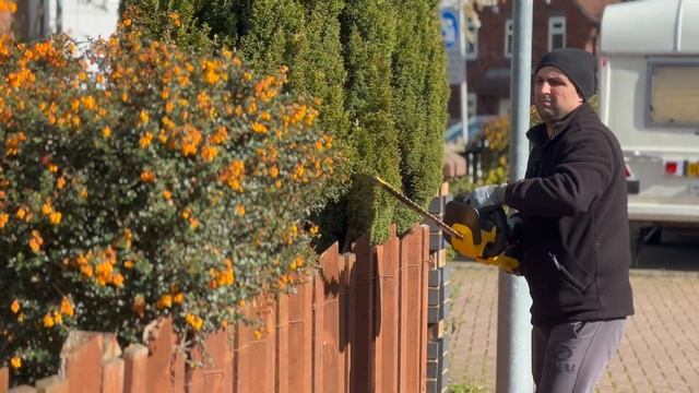 DeWalt Pruning Conifer Hedge Trimmer DCM563PB In Action смотреть онлайн
