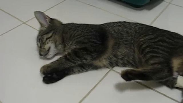 отравление ФОС видео1 смотреть онлайн