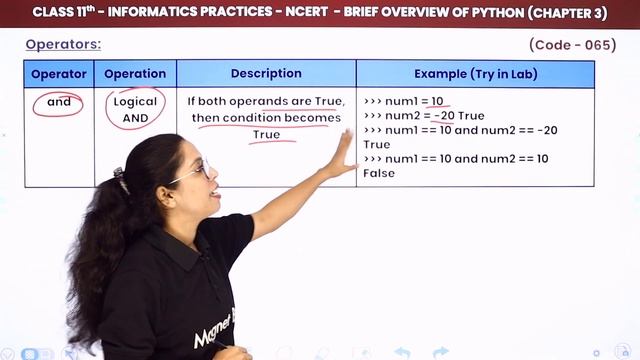 Class 11 Informatics Practices Chapter 3|Operators & Punctuators -Brief Overview of Python(Code 065 смотреть онлайн