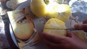 Томат "БЫЧЬЕ СЕРДЦЕ КРЕМОВОЕ". Дегустация