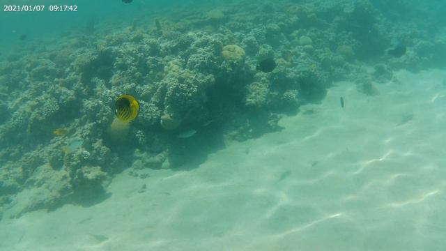Египет. Хургада. Красное море. Red sea. смотреть онлайн