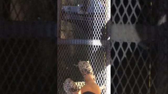 Seed Master SR700 Prototype