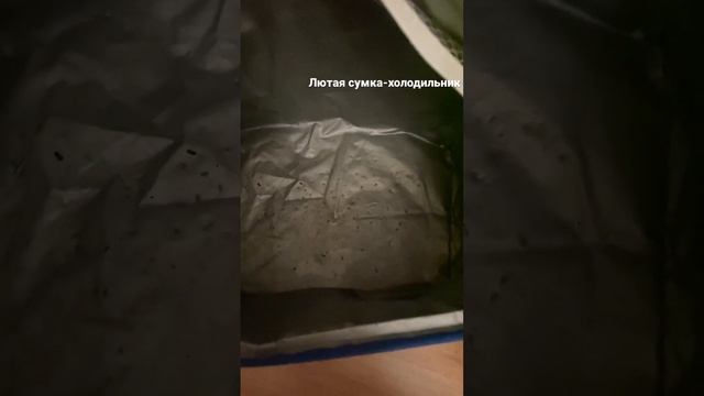 Обзор на сумку-холодильник смотреть онлайн