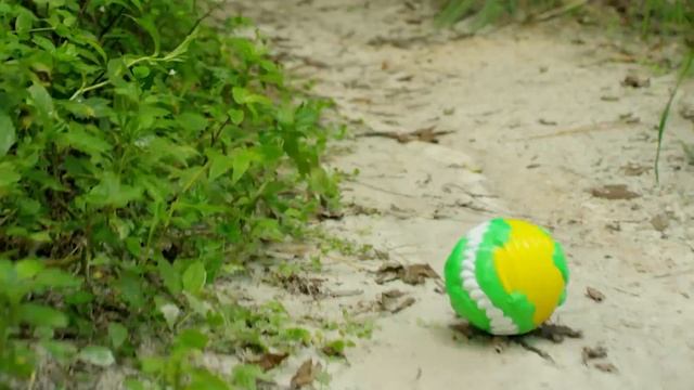 Spin Master Games | Croc ‘N’ Roll | Swamp Romp смотреть онлайн