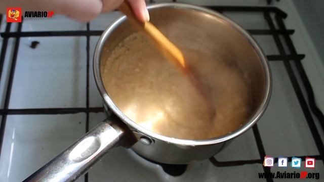 ✅ El SECRETO DEL CRIADOR DE AVES: POLENTA CASERA PARA PAJAROS