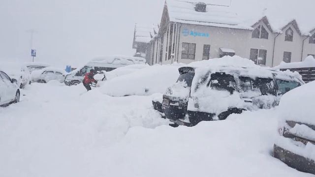 Volvo XC60 в снегу