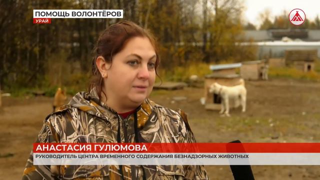 Центр 