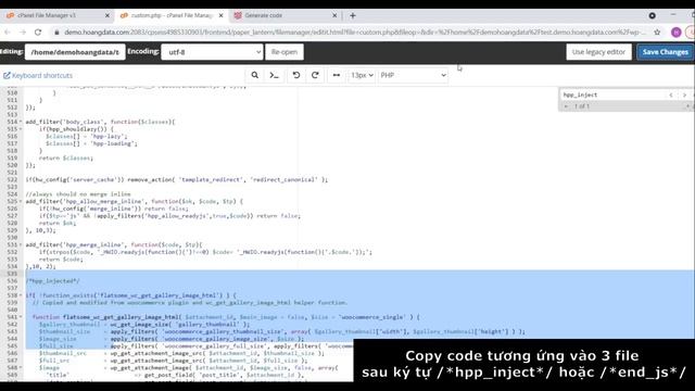 Cài đặt plugin wp2speed - Hướng dẫn lấy code PHP,JS,CSS tối ưu pagespeed insight смотреть онлайн