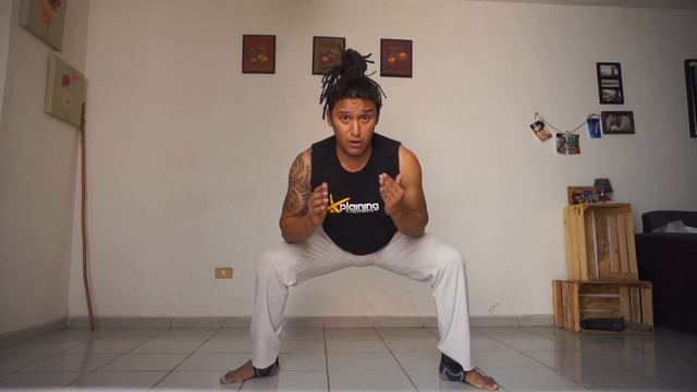 ?Como hacer los movimientos de CM Cara de Peixe // Movimientos de capoeira ((TUTORIAL) смотреть онлайн