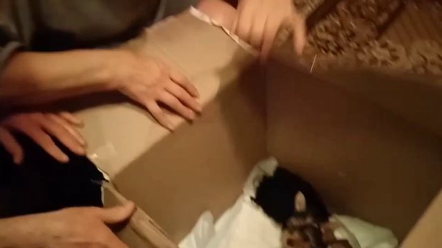 Дети сделали подарок родителям на Новый Год! Слёзы счастья! смотреть онлайн