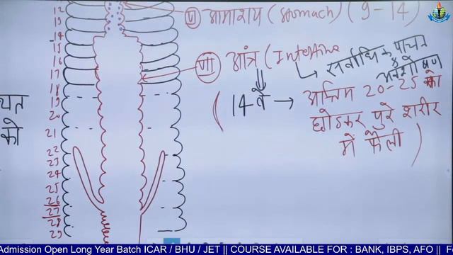 12वीं कृषि जीव विज्ञान || केंचुए की संरचना एवं कृषि में महत्व ||Demo Lecture - 02 || 9413772939 || смотреть онлайн