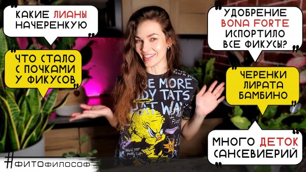 ЦВЕТОЧНЫЕ НОВОСТИ🌵 Неожиданный эффект от Bona Forte, обзор деток Сансевиерий, черенки Лираты Бамбин