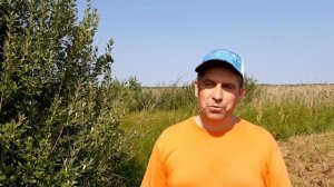 Озеро Алабуга. Рыбалка и отдых в Челябинской области.