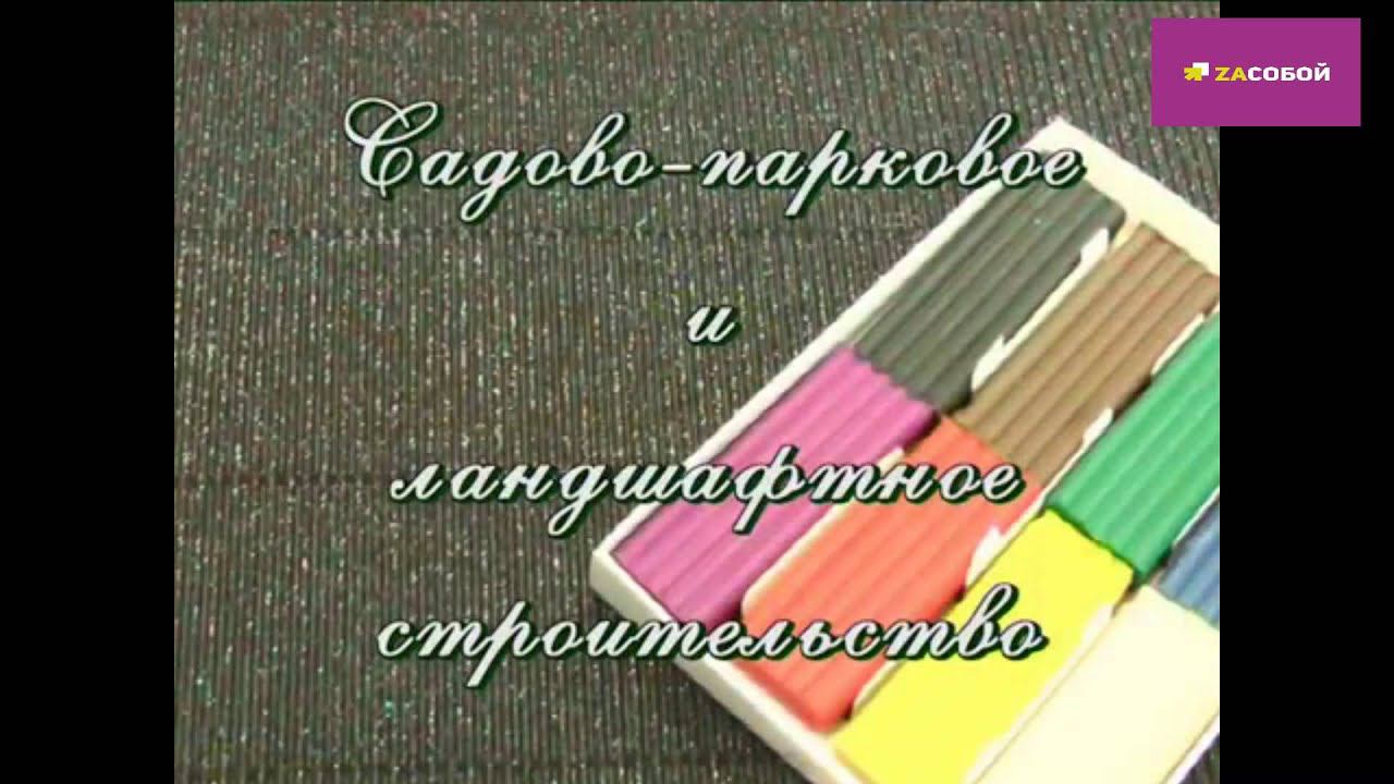 ролик БЛТ смотреть онлайн