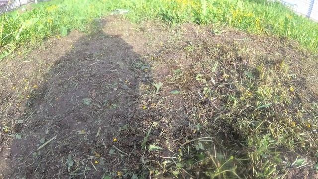 Как и где ловить выползка? Мои наблюдения. смотреть онлайн