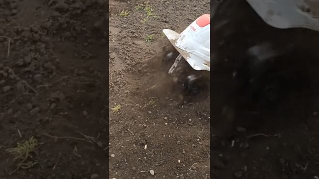 Ikra mogatec fem 1500 - один з кращих легких електрокультиваторів смотреть онлайн