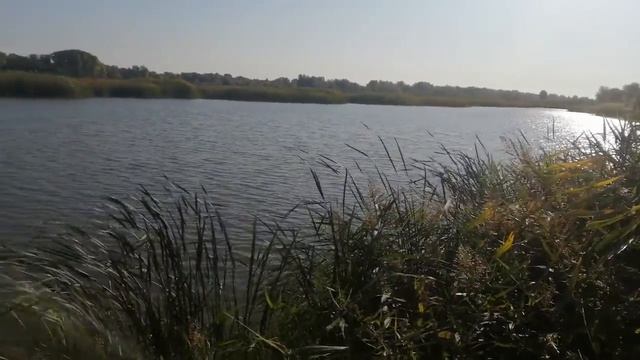 Рыбалка в Соль-Илецке 2019 смотреть онлайн