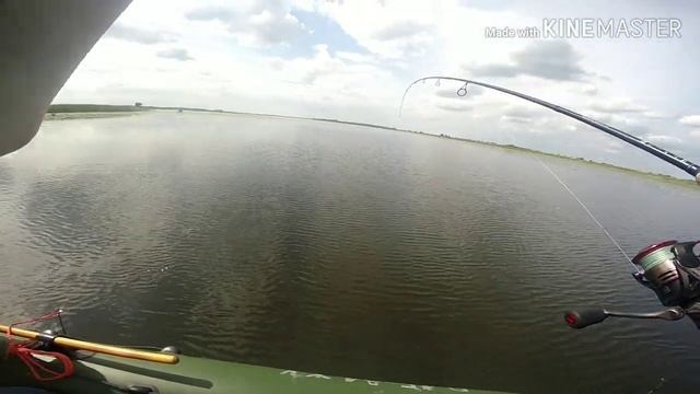 Рыбалка в Калининграде. р.Преголя . Трофейный Жерех.