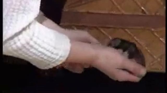 Сюрпризы сундука. Выпуск 7. смотреть онлайн