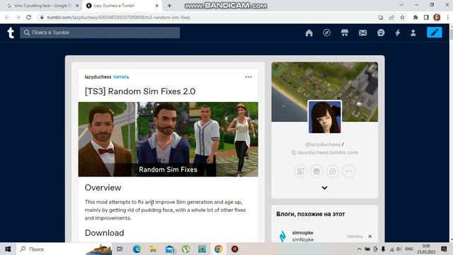 Проблема пудинг-фейсов в симс 3 и как ее исправить