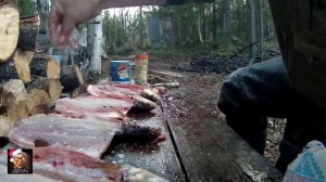 Щёкур на малосол.