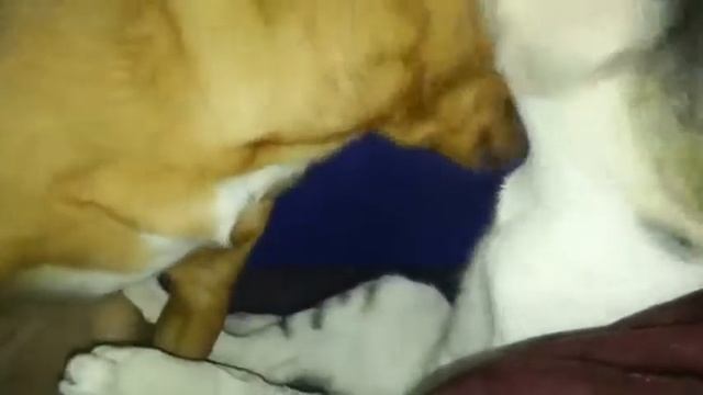 ну что помою я тебя сейчас и за стол смотреть онлайн