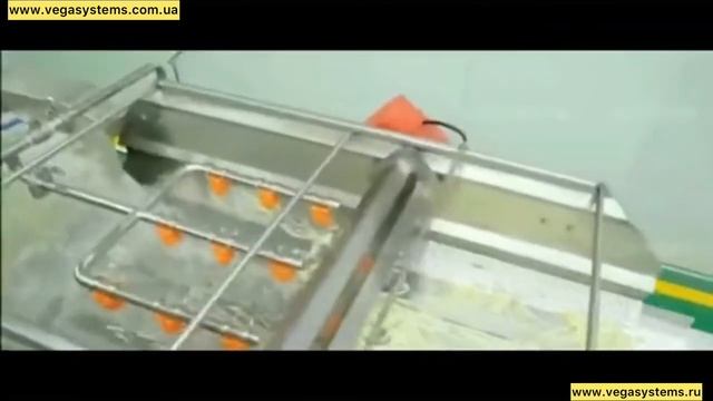 Промышленная линия Vega мойка, сушка, нарезка овощей и фруктов смотреть онлайн