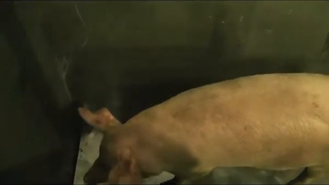 открытие уб цех смотреть онлайн
