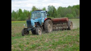 МТЗ 80 сеем(сеялка СЗ-3.6) смесь трав с овсом для сенокоса