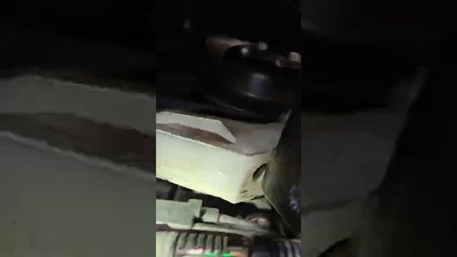 Grand Carnival 3.5 L Serpentine Belt