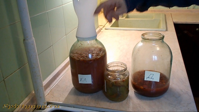 Rutube_account_832260