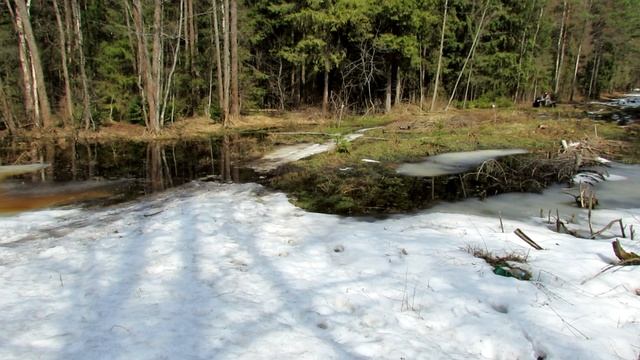 CF X6 апрель 2012 смотреть онлайн