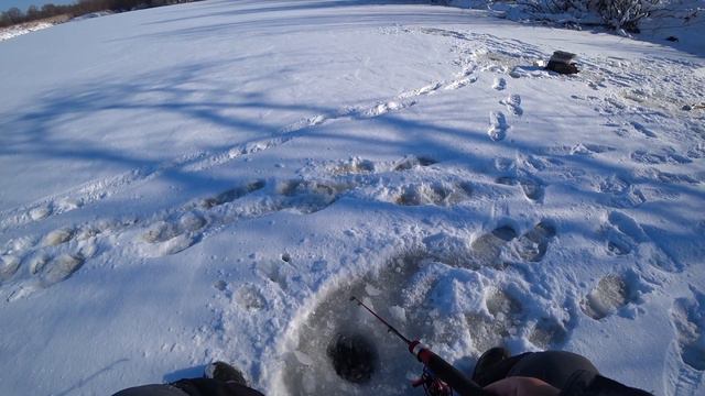 Открыл зимний сезон 2021-2022 по Щуке. 27.11.2021 смотреть онлайн