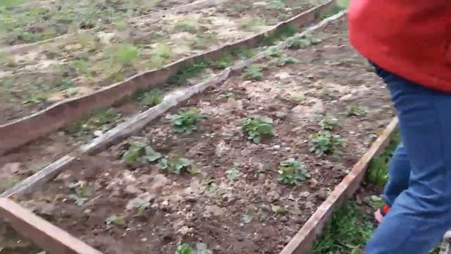 Влог/Дача/Холодно/Что в сарае? смотреть онлайн