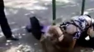 Девки дерутся( во дают)