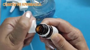 Как избавиться от блох в доме или квартире.