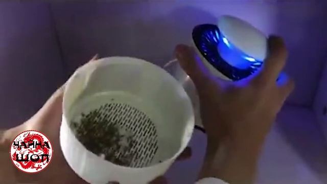 Товары для дачи с Алиэкспресс Лучшие товары для сада и огорода Вещи для дома с Китая 2019 смотреть онлайн